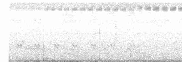 Passeriformes, unbestimmt (Old World warbler sp.) - ML611651744