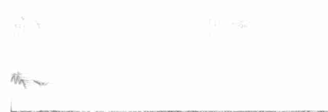 Кропив’янка аравійська - ML611654847