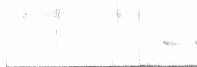 חמריה חלודת-זנב - ML611655372