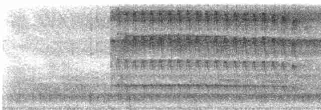 Тиран-інка буроголовий - ML611658617