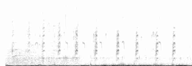 pisila černokrká (ssp. mexicanus) - ML611659202