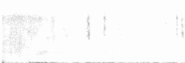 Troglodyte des marais - ML611660013