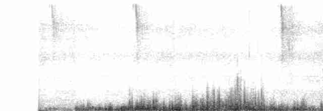Grünbrust-Mangokolibri - ML611660727
