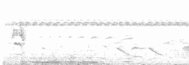 Ak Karınlı Tohumcul - ML611673015