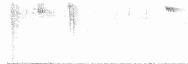 svartbrystalvesmett - ML611673881