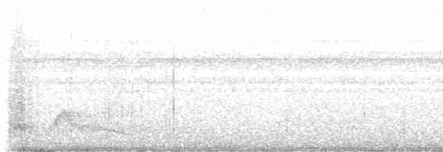 Pauraquenachtschwalbe - ML611677820