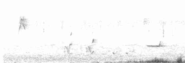 vestbørstefugl - ML611682023