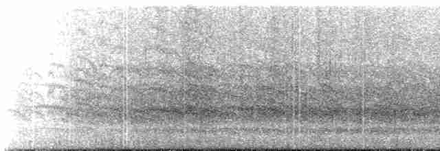South American Tern - ML611685765