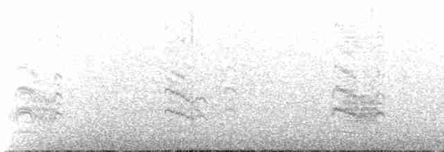 South American Tern - ML611685766