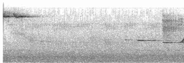 Gray-bellied Tesia - ML61168761
