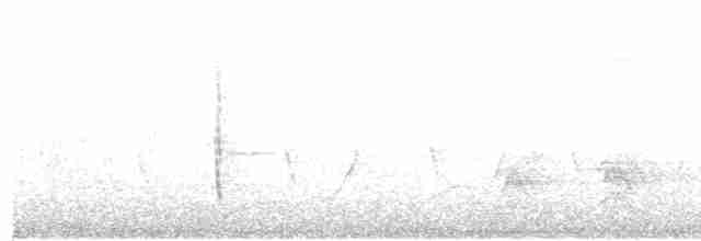 Ошейниковая веерохвостка - ML611688938