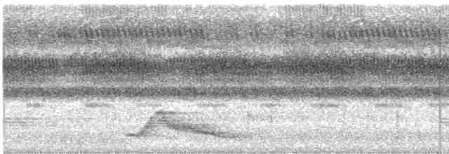 Pauraquenachtschwalbe - ML611690024