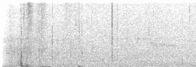 ノドグロサイホウチョウ - ML611696461