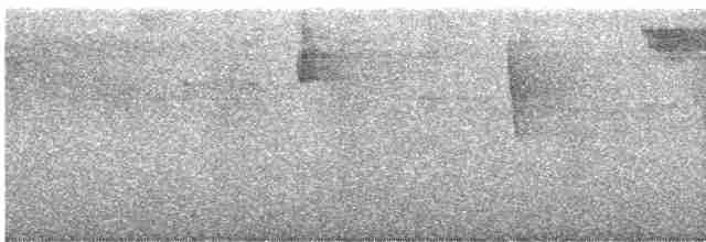 Black-tailed Trogon - ML611707808