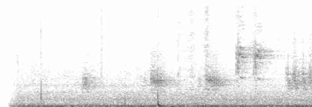 Oriental Reed Warbler - ML611711861