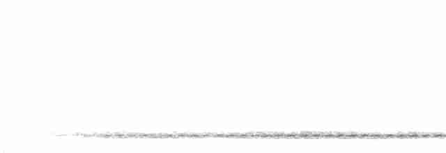 Chevêchette cuculoïde - ML611711905
