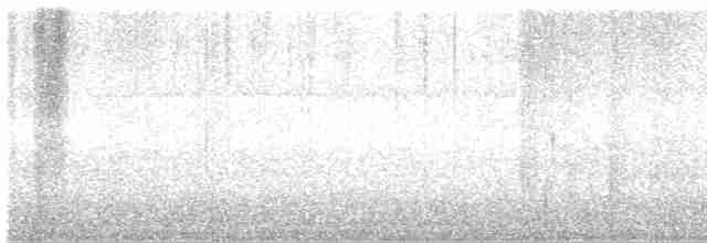 Large-tailed Nightjar - ML611715412