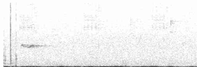 Скриточуб гімалайський - ML611717355