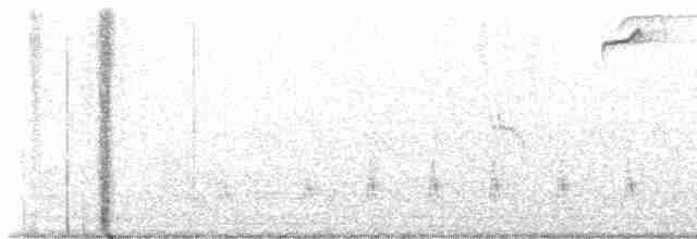 Brown-crested Flycatcher - ML611717622