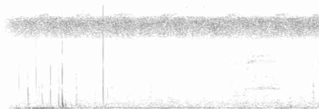 Светлобрюхая нектарница - ML611726000