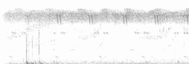 Braunstirn-Brillenvanga - ML611726589
