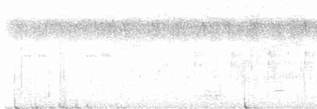 Braunstirn-Brillenvanga - ML611726590