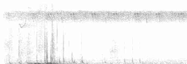 Светлобрюхая нектарница - ML611726601