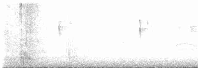 revespurv (iliaca/zaboria) (kanadarevespurv) - ML611726843