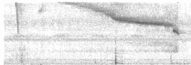Сипуха темно-бура (підвид tenebricosa/arfaki) - ML611734028