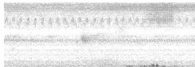 Сипуха темно-бура (підвид tenebricosa/arfaki) - ML611734030