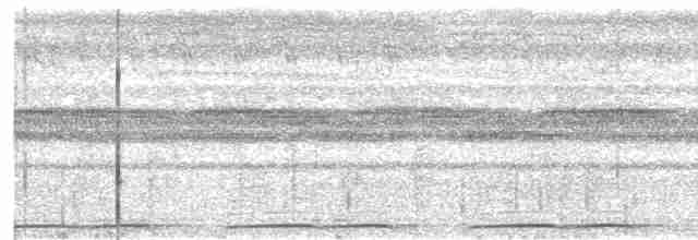 Marmorschwalm [ocellatus-Gruppe] - ML611734190