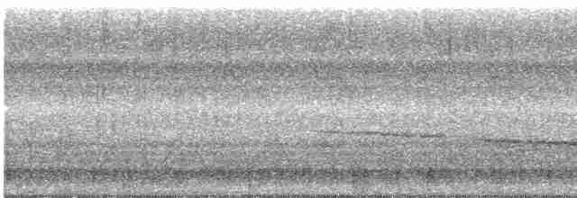 langhaletreløper (pallida gr.) - ML611737538