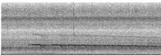 Светлогорлый древолаз (guttatoides/dorbignyanus) - ML611738860