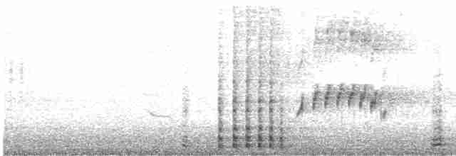 jeřáb kanadský (ssp. pulla) - ML611739853