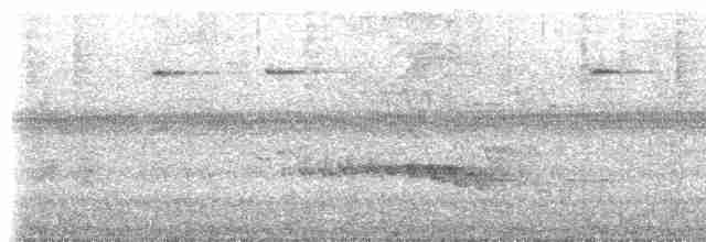 Кокоа плямистий [група aequatorialis] - ML611743433