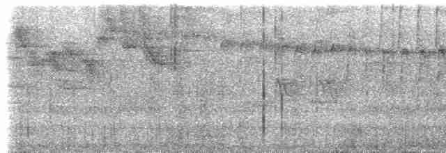Paseriforme sp. - ML611743670