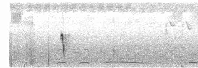 Щетинистая долгохвостка - ML611746171