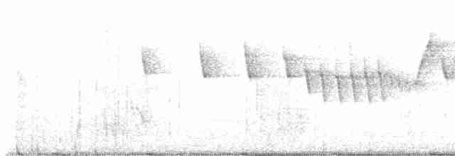 Сиреневогрудая нектарница - ML611749728