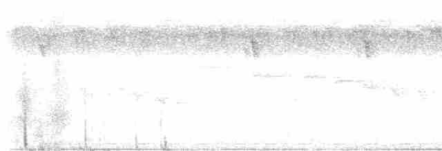 Ошейниковая нектарница - ML611749814