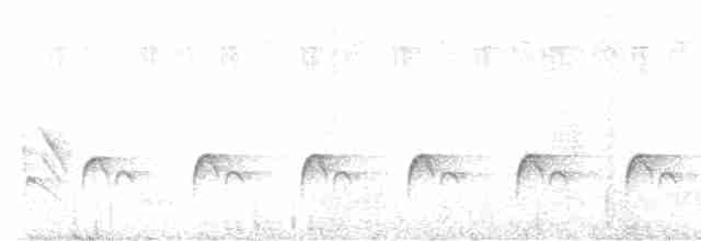 svarthodeapalis - ML611749823