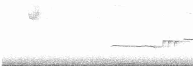 Белогорлая зонотрихия - ML611751448