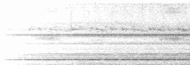Pauraquenachtschwalbe - ML611752617