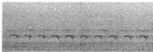 Zeledon Karıncakuşu (berlepschi) - ML611752703