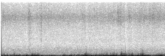 Citrine Wagtail (Gray-backed) - ML611754978