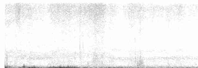 Kara Sırtlı Martı (graellsii) - ML611756546