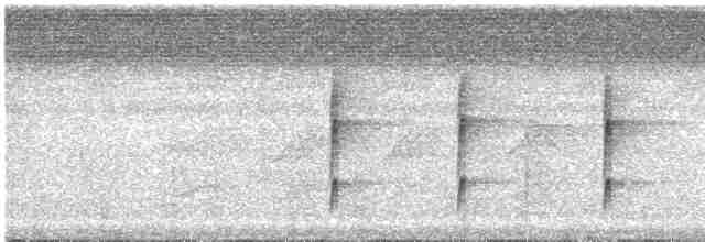 Todirostre zostérops - ML611757383