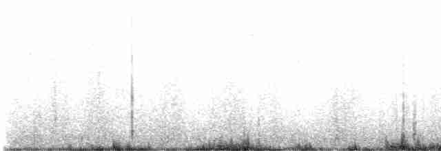 Hermit Thrush (faxoni/crymophilus) - ML611759477