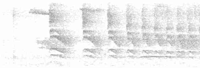 Тиранчик-мухолюб сіроголовий - ML611766691