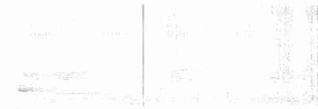 Giant Antshrike - ML611769259