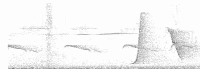Дідрик смугастощокий - ML611769752